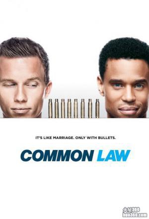 USA台取消《执法双雄 Common Law》