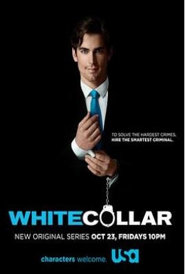 《妙警贼探 第一季》全集/White Collar Season 1