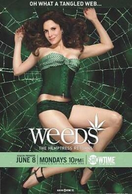 《单身毒妈 第五季》全集/Weeds Season 5