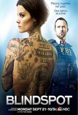 《盲点 第一季》全集/Blindspot Season 1