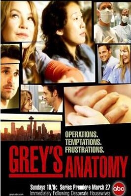 《实习医生格蕾 第一季》全集/Grey’s Anatomy Season 1