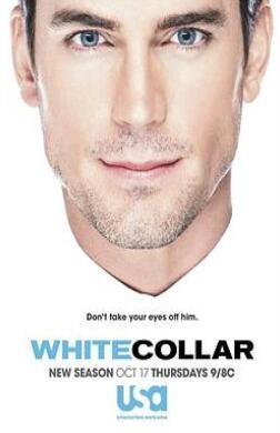 《妙警贼探 第五季》全集/White Collar Season 5