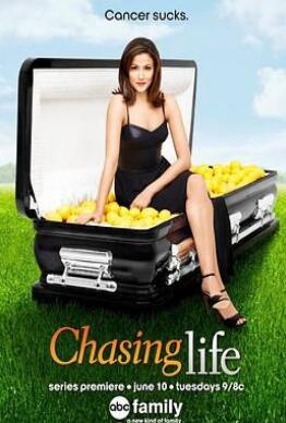 《追寻人生 第二季》全集/Chasing Life Season 2