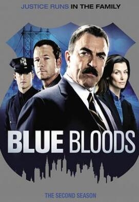 《警察世家 第二季》全集/Blue Bloods Season 2