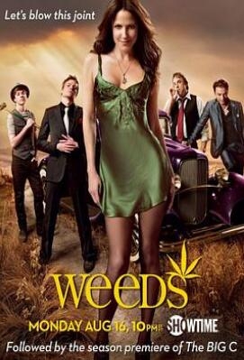 《单身毒妈 第六季》全集/Weeds Season 6