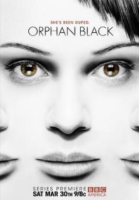 《黑色孤儿 第一季》全集/Orphan Black Season 1