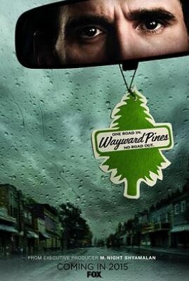 《黑松镇 第一季》全集/Wayward Pines Season 1