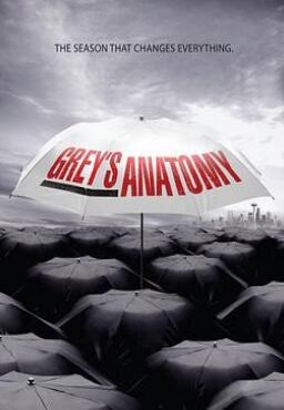 《实习医生格蕾 第六季》全集/Grey’s Anatomy Season 6