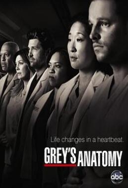 《实习医生格蕾 第七季》全集/Grey//s Anatomy Season 7