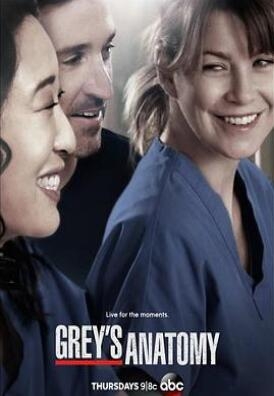 《实习医生格蕾 第十季》全集/Grey//s Anatomy Season 10