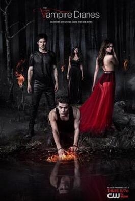 《吸血鬼日记 第五季》全集/The Vampire Diaries Season 5