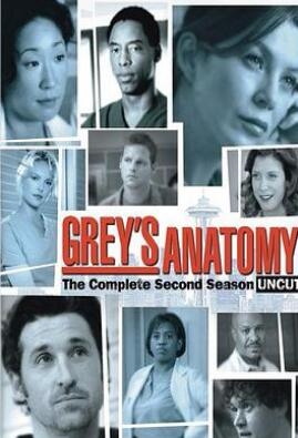 《实习医生格蕾 第二季》全集/Grey’s Anatomy Season 2