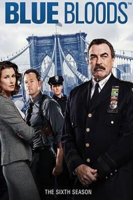 《警察世家 第六季》全集/Blue Bloods Season 6