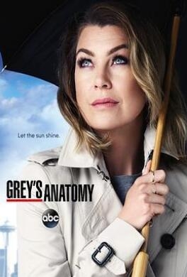 《实习医生格蕾 第十二季》全集/Grey’s Anatomy Season 12