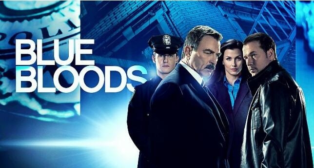 警察世家第九季 Blue Bloods 网盘/磁力/迅雷全集下载