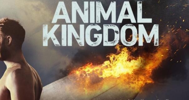 野兽家族第一至二季 Animal Kingdom 全集迅雷下载