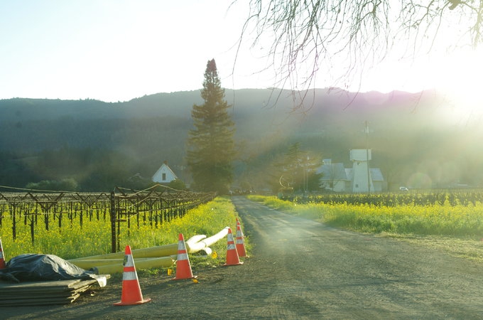 纳帕 Napa  旅游攻略