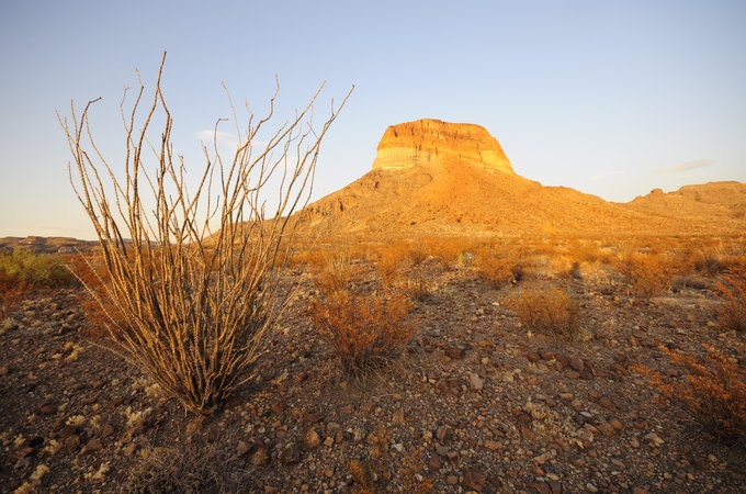 大本德国家公园 Big bend national park 旅游攻略