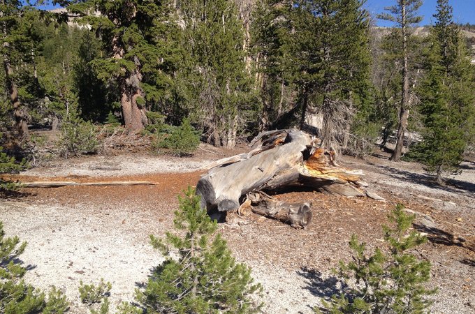 马姆莫斯湖 Mammoth Lakes  旅游攻略