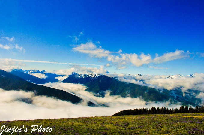 奥林匹克国家公园 Olympic national park 旅游攻略