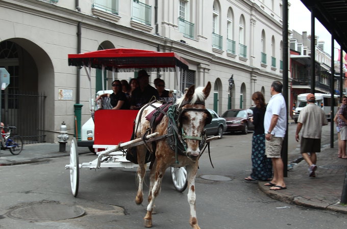 新奥尔良 New orleans 旅游攻略